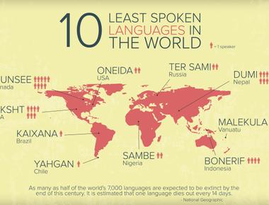 Almost all languages in the world have been influenced by another language