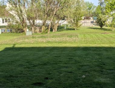 The term lawn mullet refers to a neatly manicured front yard with an unmowed mess in the back