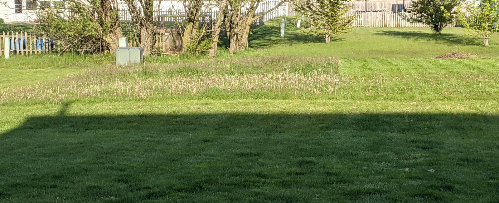 The term lawn mullet refers to a neatly manicured front yard with an unmowed mess in the back