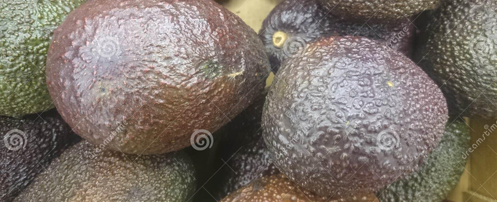 An avocado is not just a fruit it is also a berry