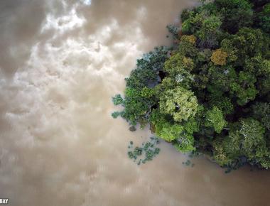 The amazon rainforest has been in existence for at least 55 million years