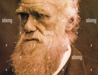 Born in 1809 charles darwin was an english naturalist who developed the idea of natural selection and changed the way we think about evolution