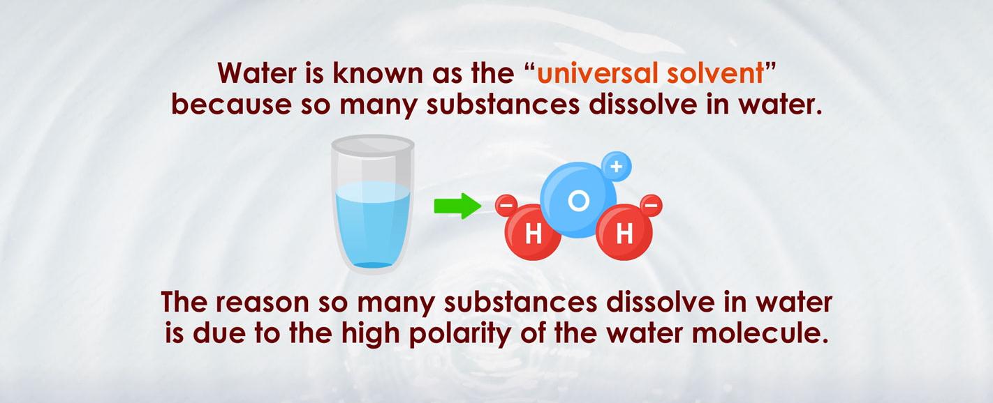 Water s naturally occurring physical properties and chemical composition make it the perfect universal solvent it mixes well with other substances thanks to its oxygen and hydrogen atoms polar arrangement