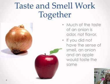 If your sense of smell is blocked apples potatoes and onions will taste the same