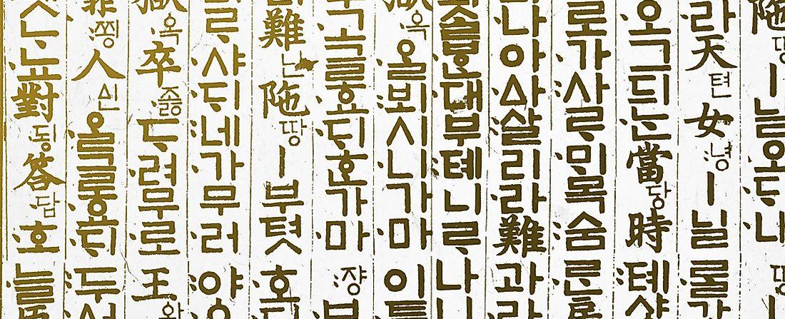 The languages spoken in north korea and south korea are different they have distinct vocabularies and grammatical rules due to being separated for so long