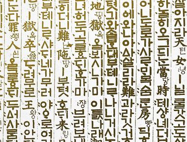 The languages spoken in north korea and south korea are different they have distinct vocabularies and grammatical rules due to being separated for so long