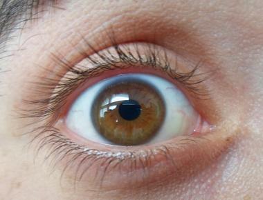 What color eyes do most humans have brown