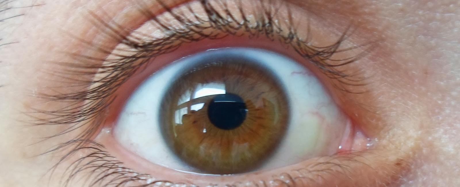 What color eyes do most humans have brown