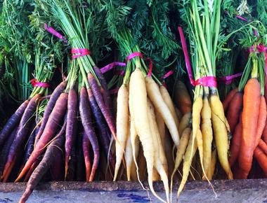 Carrots were originally red purple yellow or white