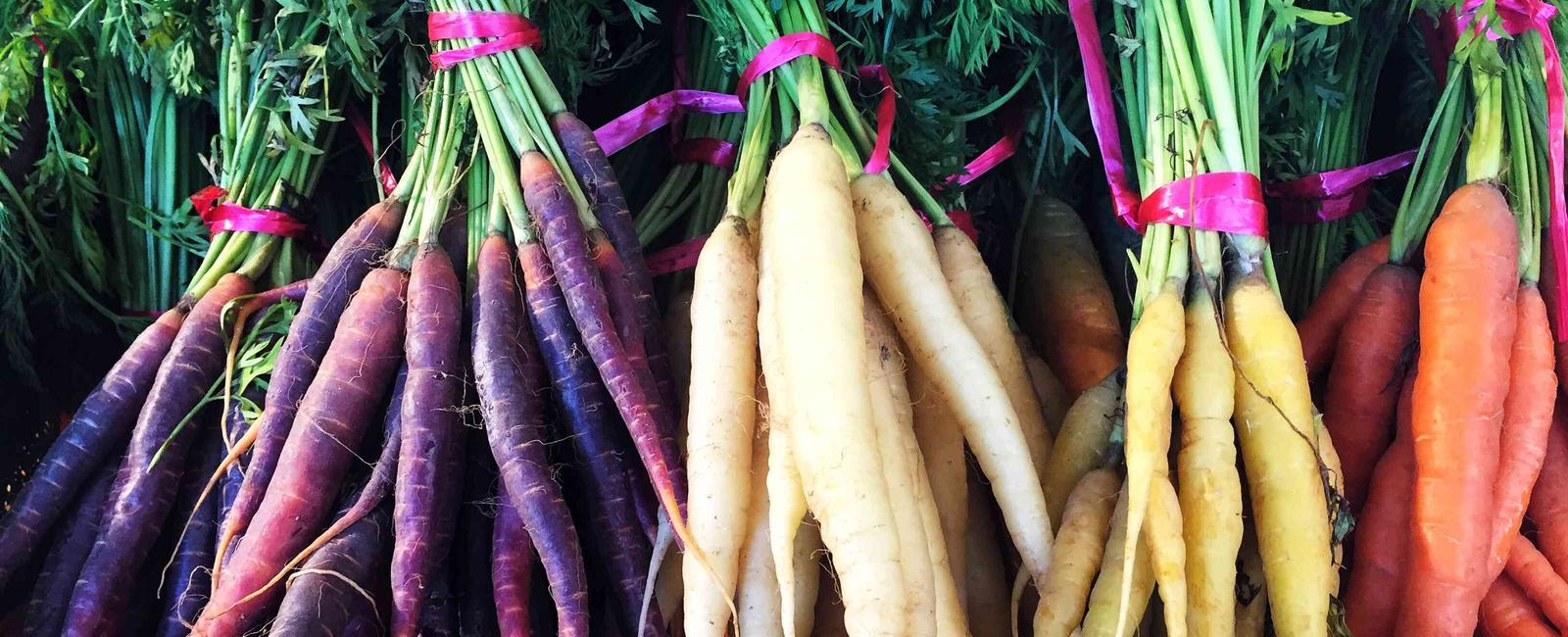 Carrots were originally red purple yellow or white