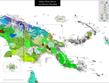 Papua new guinea is the country with the most number of languages in the world it has 841 languages but its predicted that 40 of these languages are to become extinct as only a few people speak them