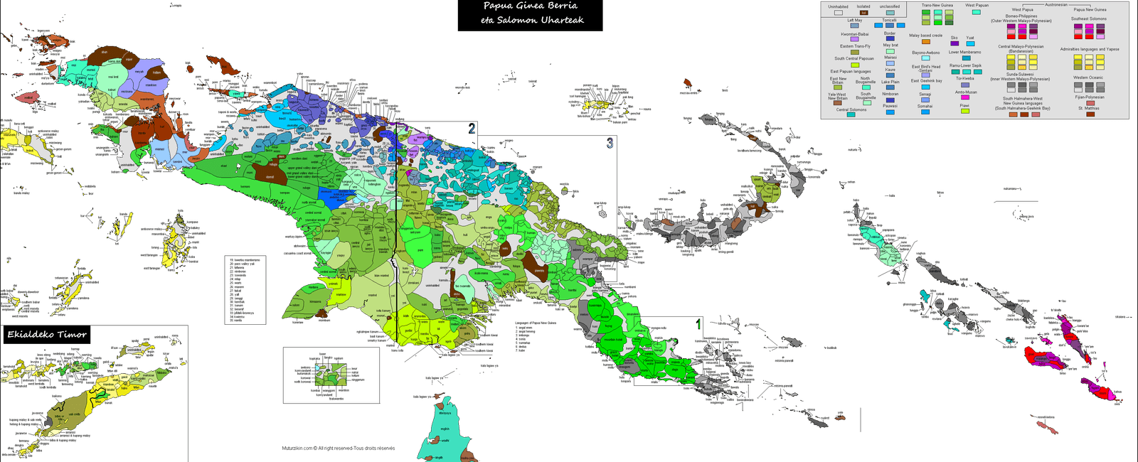 Papua new guinea is the country with the most number of languages in the world it has 841 languages but its predicted that 40 of these languages are to become extinct as only a few people speak them