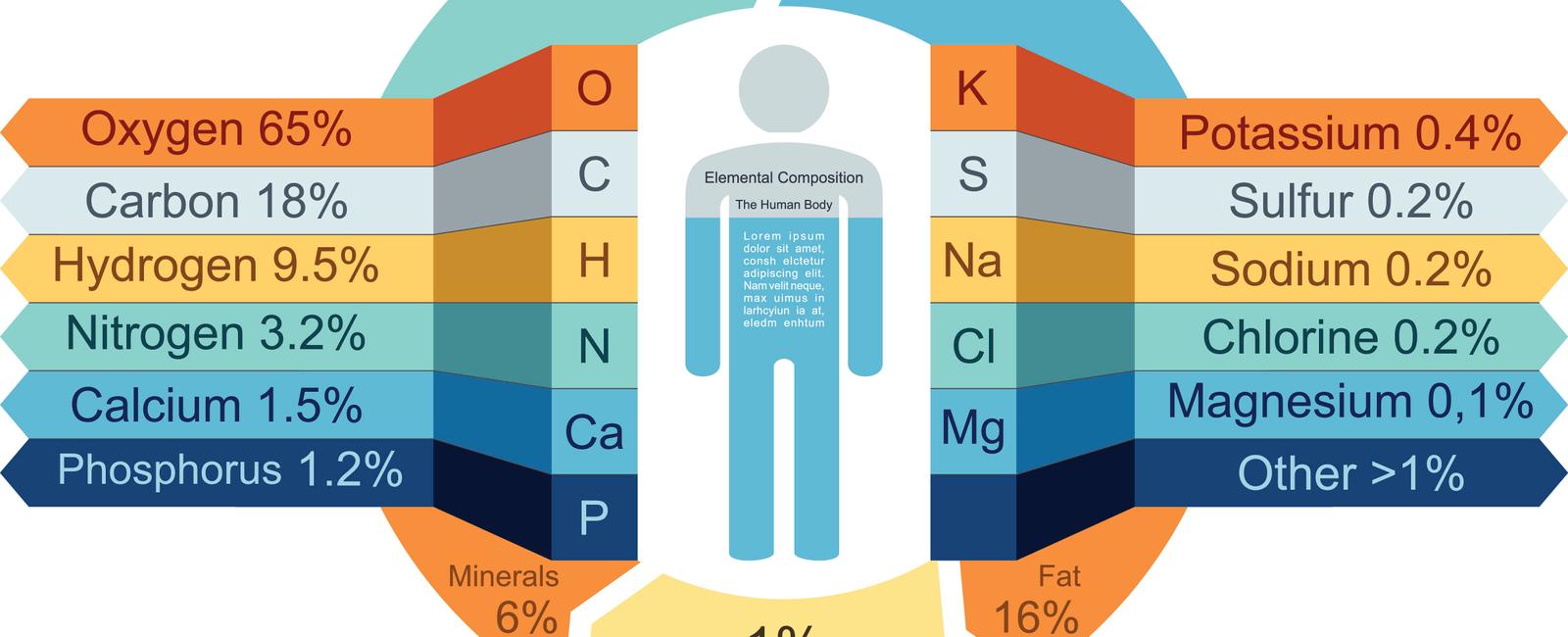 The human body requires about 88 pounds of oxygen daily