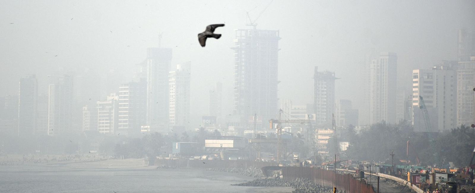 The air quality of mumbai is so bad it s equivalent to smoking 4 cigarettes a day