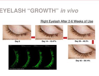 The lifespan of an eyelash is approximately 150 days