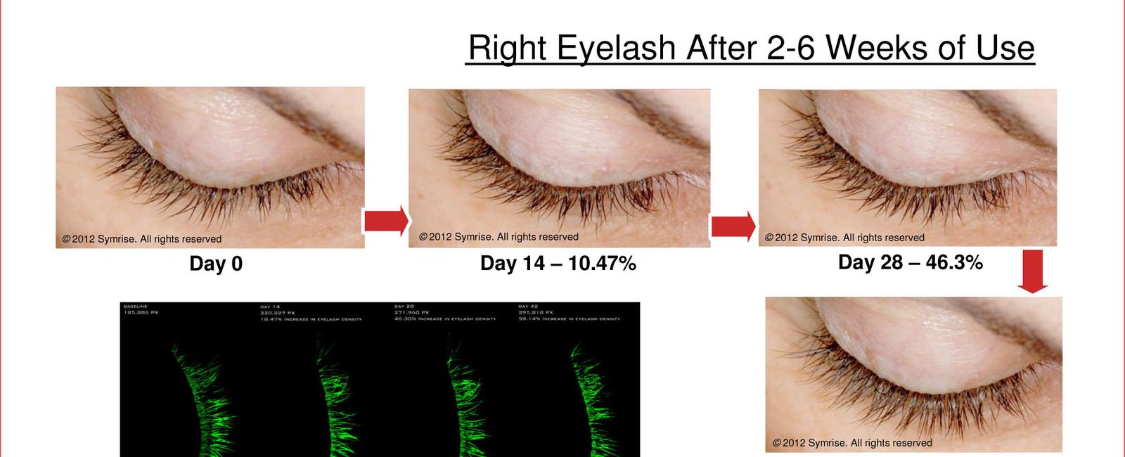 The lifespan of an eyelash is approximately 150 days