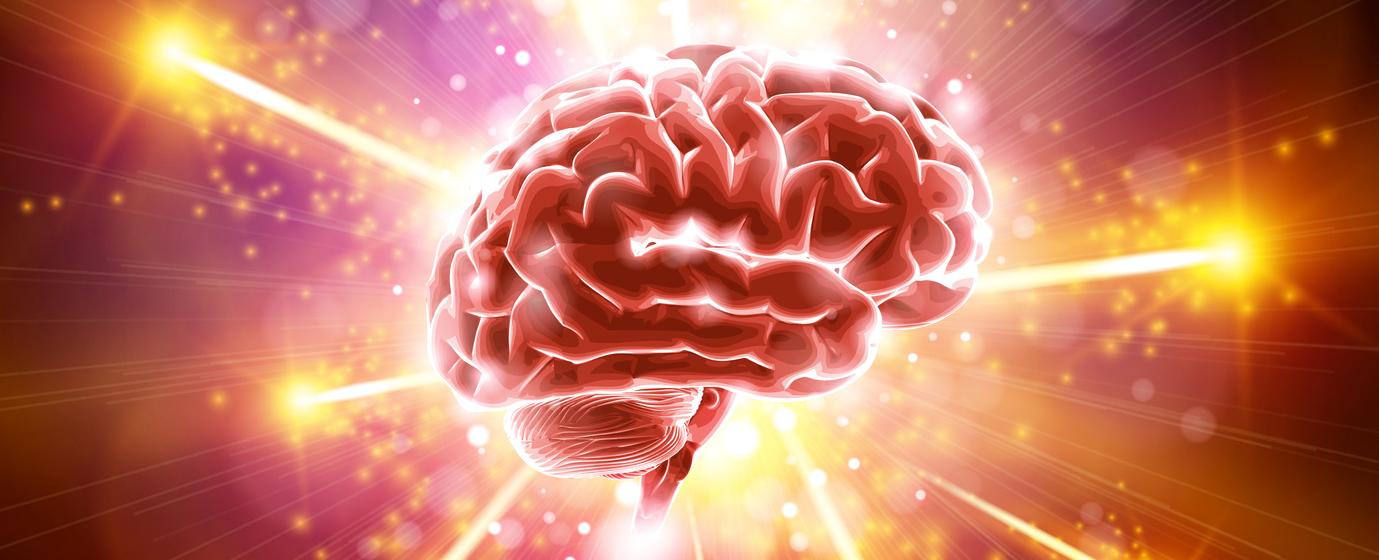 The human brain uses 20 of the entire body s energy
