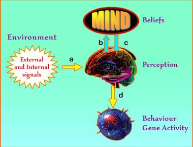 Our brain doesn t think long term deadlines are so important because we feel more connected to a day by day passing of time