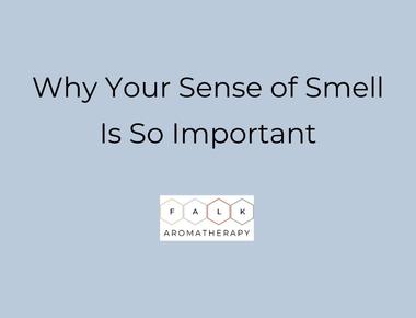 Smell could be as important as looks when it comes to the fanciability factor we like the look and smell of people who are most like our parents