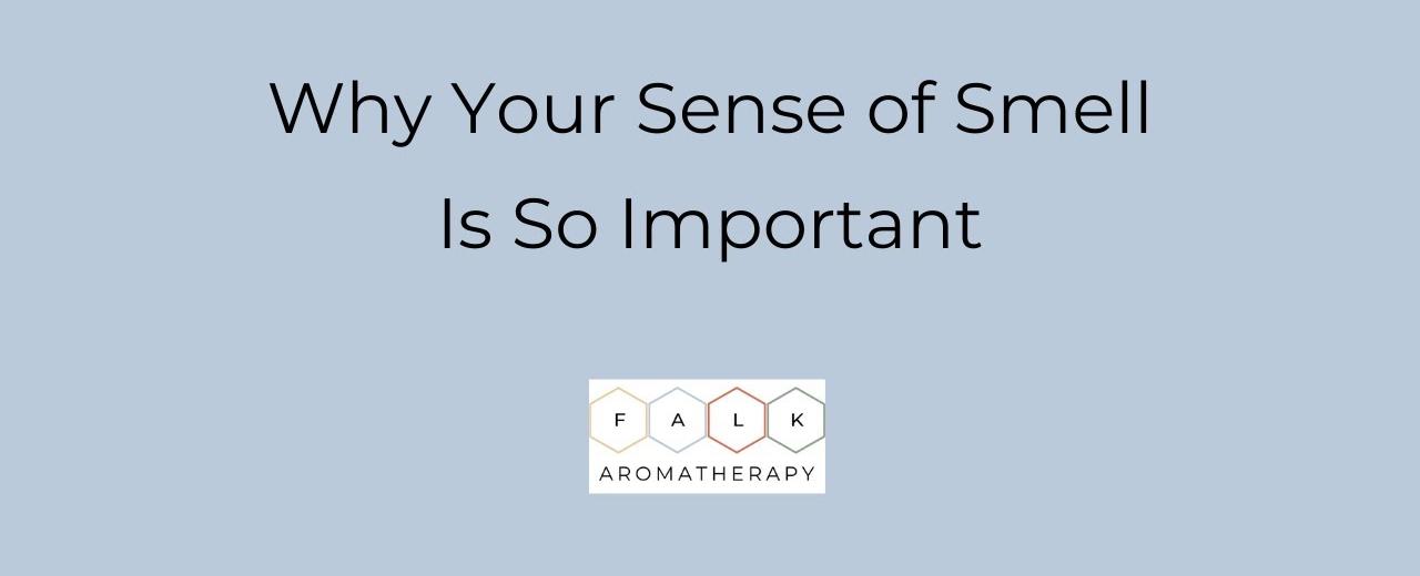 Smell could be as important as looks when it comes to the fanciability factor we like the look and smell of people who are most like our parents