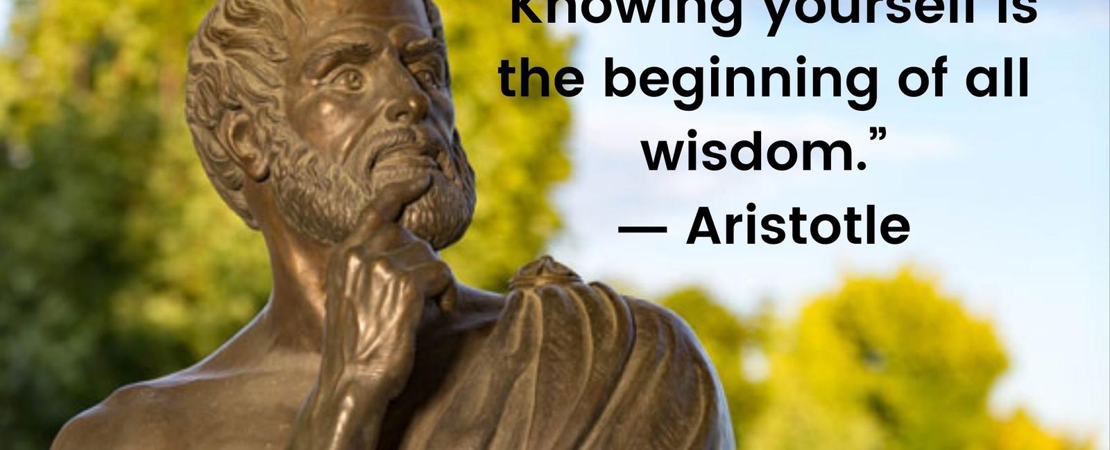 Aristotle s famous work covered many subjects he wrote about philosophy politics logic and music as well as developing many new and influential scientific ideas