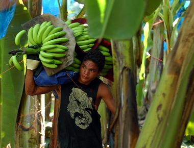 A costa rican worker who makes baseballs earns about 2 750 annually the average american pro baseball player earns 2 377 000 per year