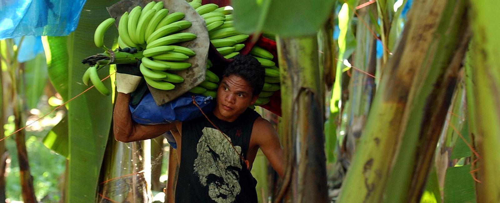 A costa rican worker who makes baseballs earns about 2 750 annually the average american pro baseball player earns 2 377 000 per year