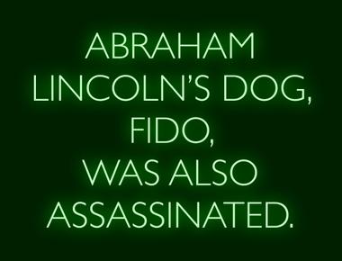 Abraham lincoln s dog fido was also assassinated