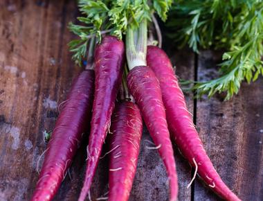 The first carrots grown were purple