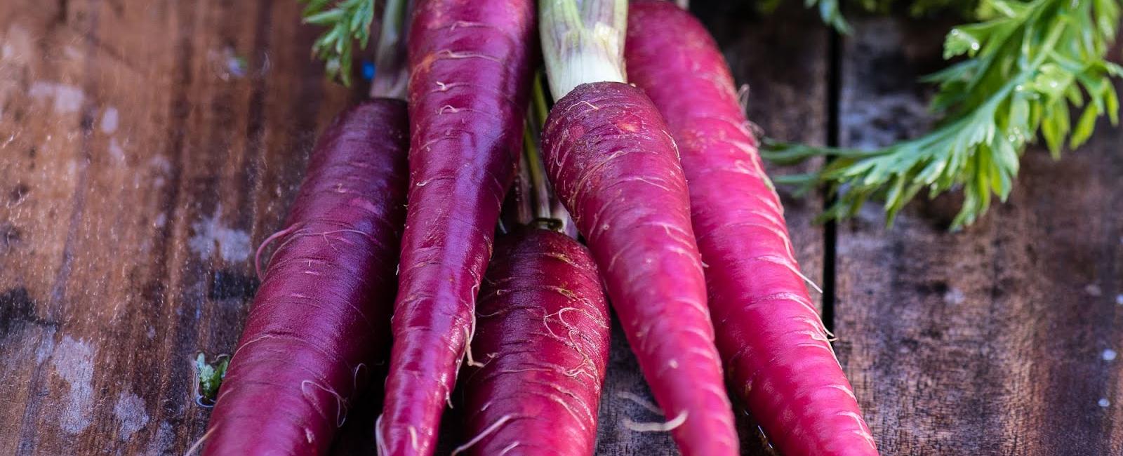 The first carrots grown were purple