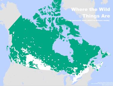 Canada has nine percent of the world s forests