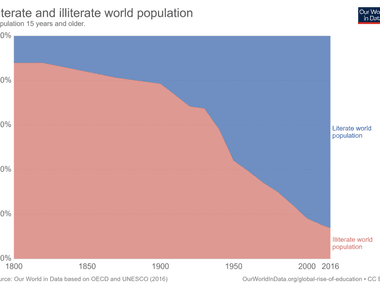 Of the world population older than 15 years 86 are literate in many countries more than 95 have basic literacy skills