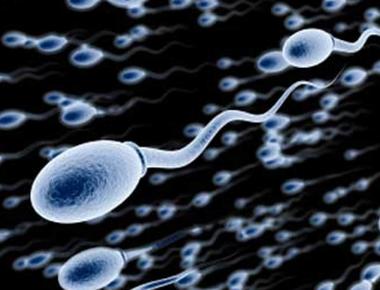 Frequent sex may improve a man s sperm quality reduce dna damage to sperm and increase fertility