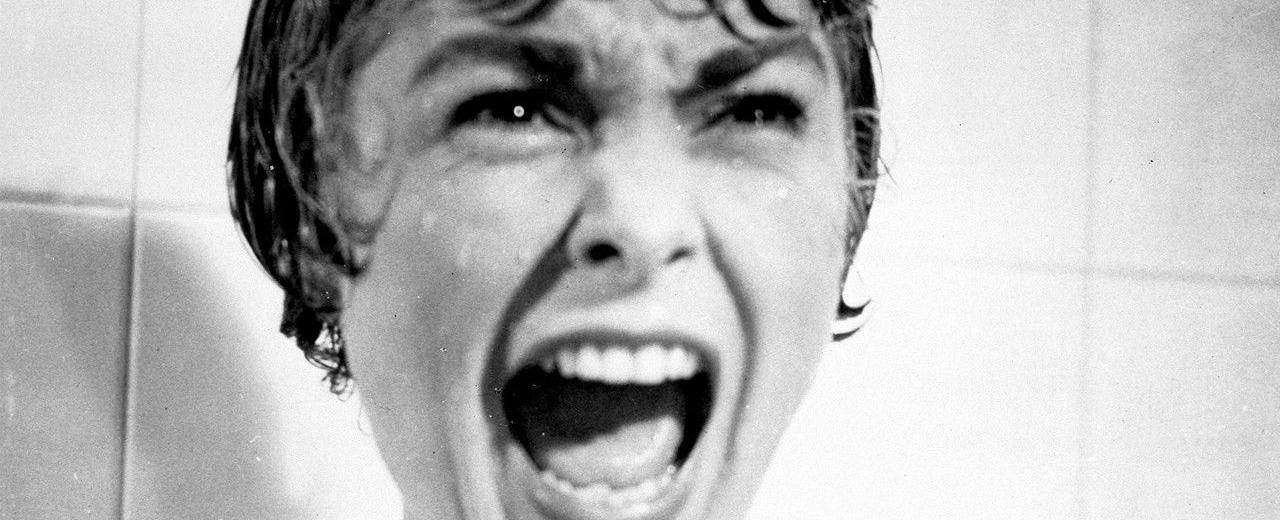 Psycho was the first movie to show a toilet flushing