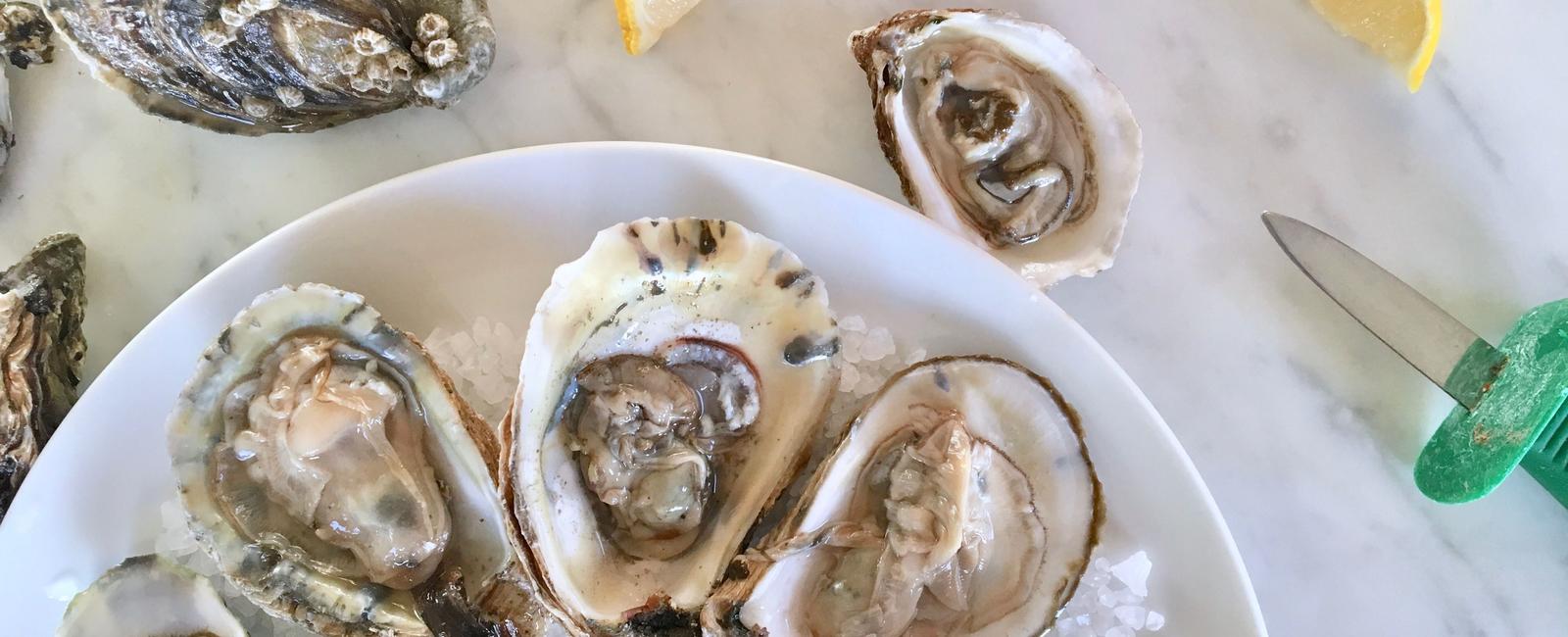 If you love oysters but find shucking them to be near impossible try soaking them in club soda before you shuck the oysters won t exactly jump out of their shells but they will be much easier to open