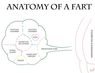 Farts have a bacterial composition that is unique to each individual