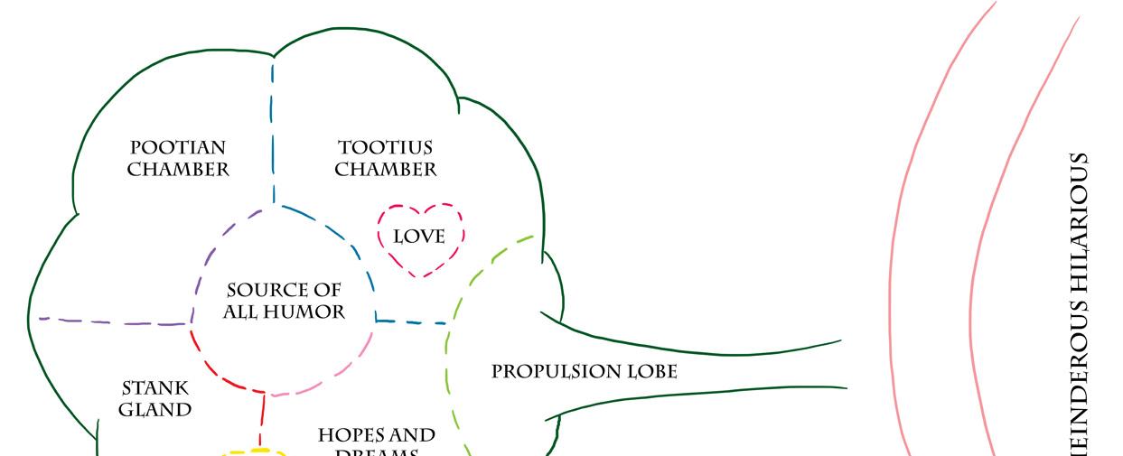 Farts have a bacterial composition that is unique to each individual