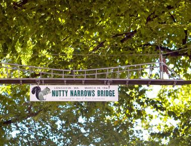 A town in washington has a treetop bridge over a busy road that s just big enough for squirrels it s called the nutty narrows bridge