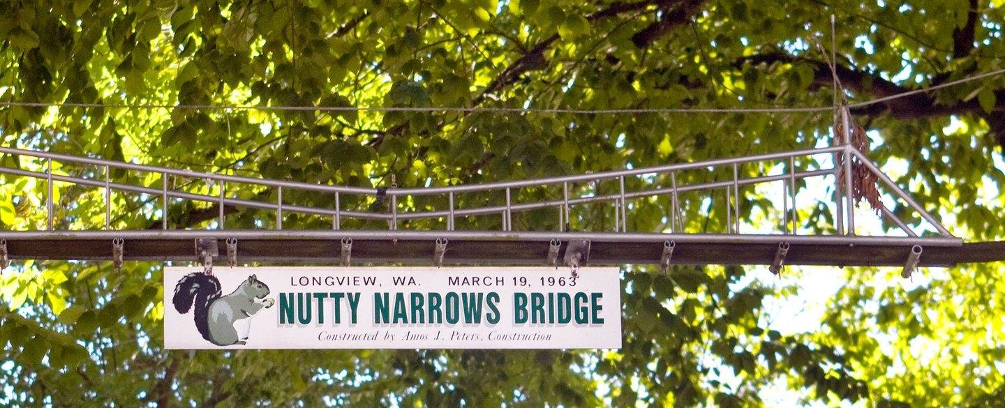 A town in washington has a treetop bridge over a busy road that s just big enough for squirrels it s called the nutty narrows bridge