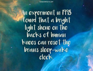 An experiment in 1998 found that a bright light shone on the backs of human knees can reset the brain s sleep wake clock