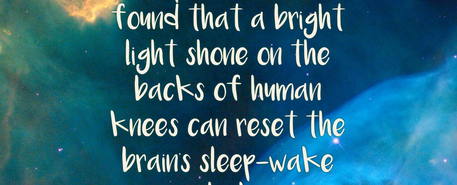 An experiment in 1998 found that a bright light shone on the backs of human knees can reset the brain s sleep wake clock