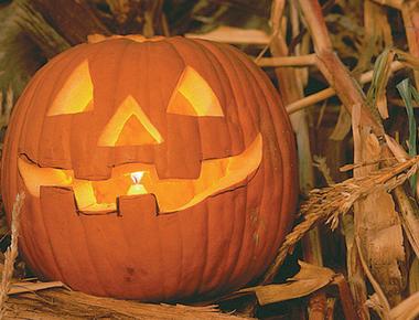 The tradition of carving jack o lanterns comes from the legend of stingy jack an irish man caught between heaven and hell who roamed the earth he always carried a lantern and was known as jack of the lantern