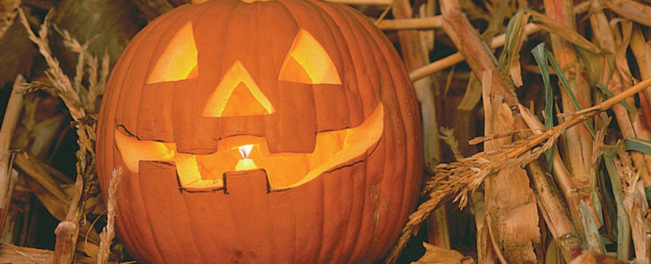 The tradition of carving jack o lanterns comes from the legend of stingy jack an irish man caught between heaven and hell who roamed the earth he always carried a lantern and was known as jack of the lantern