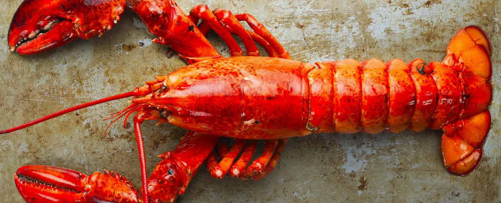 It takes a lobster approximately seven years to grow to be one pound