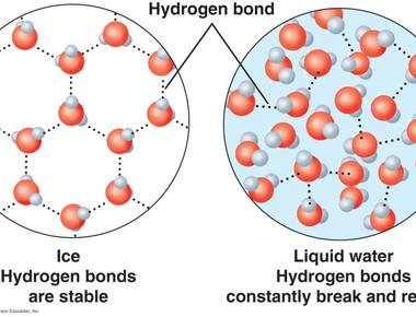 Water expands when it freezes ice has a lesser density than water so an ice cube takes up nearly 9 more volume than the water you used to make it