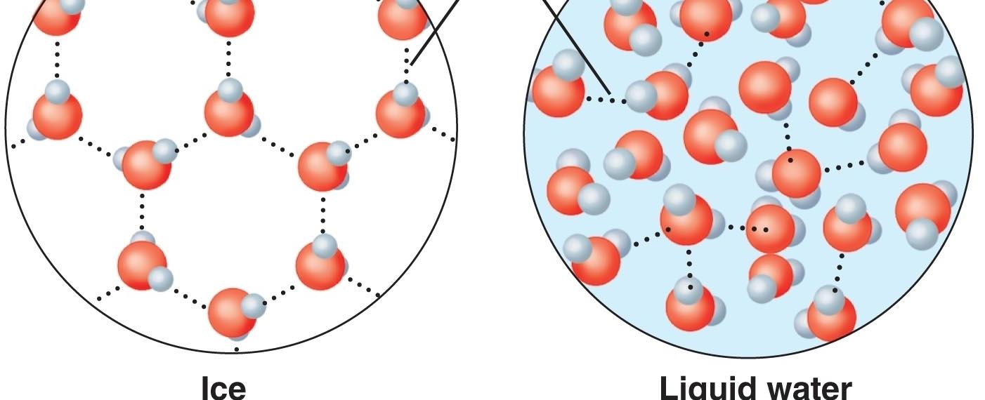 Water expands when it freezes ice has a lesser density than water so an ice cube takes up nearly 9 more volume than the water you used to make it