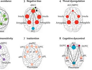 When someone looks at a new love the neural circuits that are usually associated with social judgment are suppressed