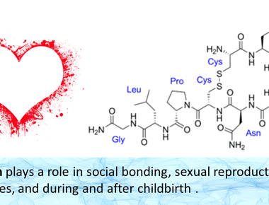 Romantic love and the love between a mother and her child both release the hormone oxytocin which is thought to help with long term bonding