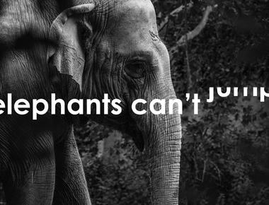 Elephants are the only mammal that can t jump while they can run up to 25 mph they often weigh 16 000 lbs or more making it hard to jump their leg bones all point downwards so they also can t spring upwards