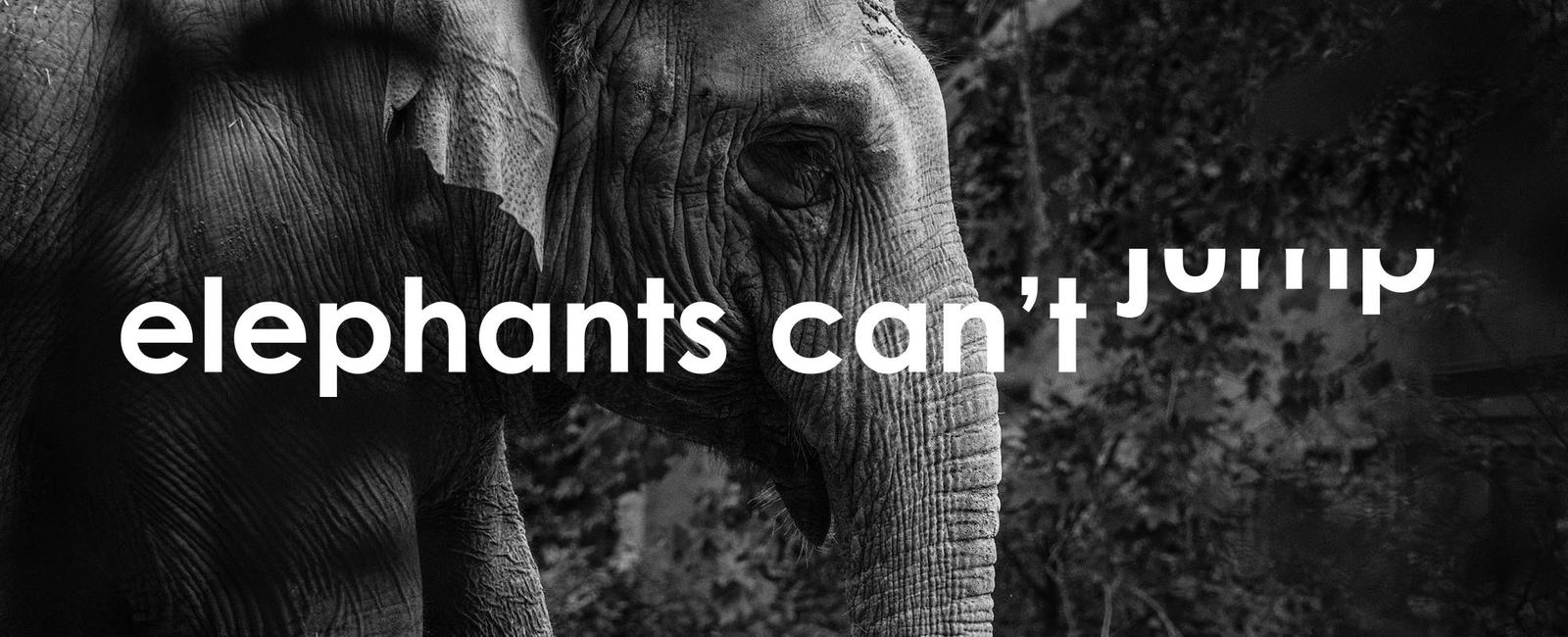 Elephants are the only mammal that can t jump while they can run up to 25 mph they often weigh 16 000 lbs or more making it hard to jump their leg bones all point downwards so they also can t spring upwards